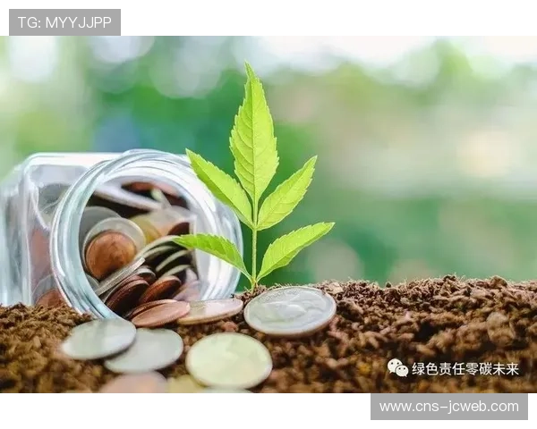 当前阶段制播流程强化碳足迹追踪，推动绿色制作落地